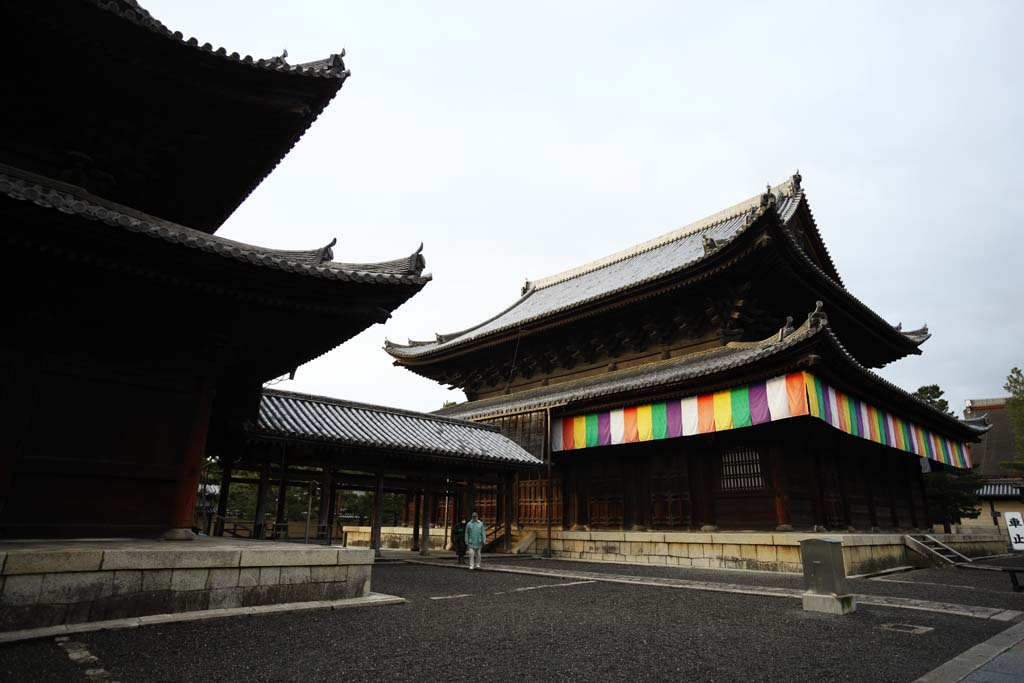 fotografia, materiale, libero il panorama, dipinga, fotografia di scorta,Sala di sermone di Tempio di Myoshin-ji, Egen Kanzan, afforesti fondo, Il papa orto e floreale, tempio che appartiene alla setta Zen