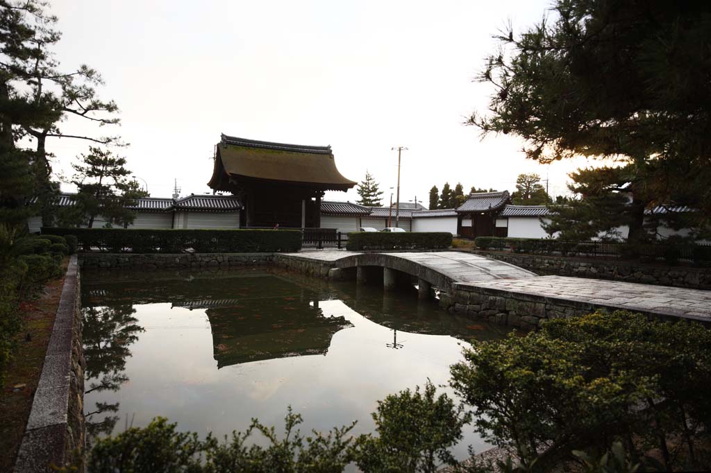 fotografia, materiale, libero il panorama, dipinga, fotografia di scorta,Tempio di Myoshin-ji lasciato va a Stagnare, Egen Kanzan, controlli per messaggeri Imperiali, Il papa orto e floreale, tempio che appartiene alla setta Zen