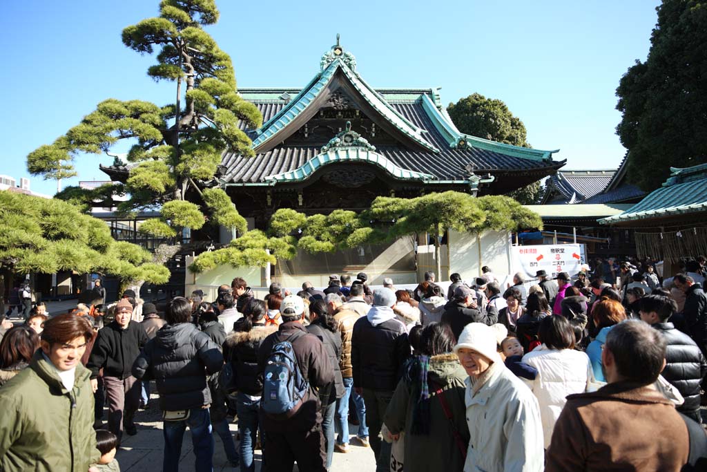 Foto, materiell, befreit, Landschaft, Bild, hat Foto auf Lager,Shibamata Taishaku-zehn Tempel, Fall bemuttert Aussehen von einem Hausziegel-Material zum Dachdecken, Neujahr besucht zu einem schintoistischen Schrein, Verehrer, Geldgabe