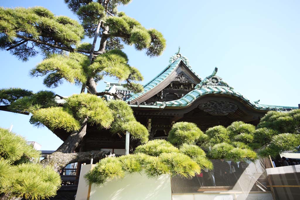 Foto, materieel, vrij, landschap, schilderstuk, bevoorraden foto,Shibamata Taishaku-tien Tempel, Geval verschijning bemoederen van een huis-bedaking betegelen, Nieuw bezoek van Jaar naar een Shinto heiligdom, Worshiper, Geld aanbieding
