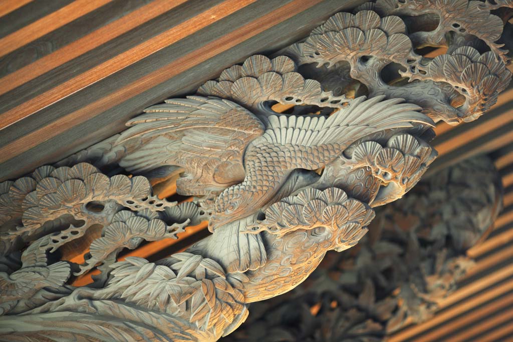 photo,material,free,landscape,picture,stock photo,Creative Commons,Shibamata Taishaku-ten Temple sculpture, bird of prey, sculpture, grain of wood, Buddhism