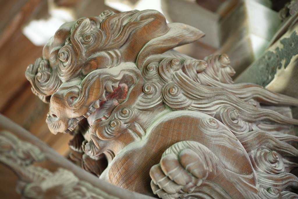 photo, la matire, libre, amnage, dcrivez, photo de la rserve,Shibamata Taishaku-dix sculpture de Temple, lion, sculpture, grain de bois, Bouddhisme