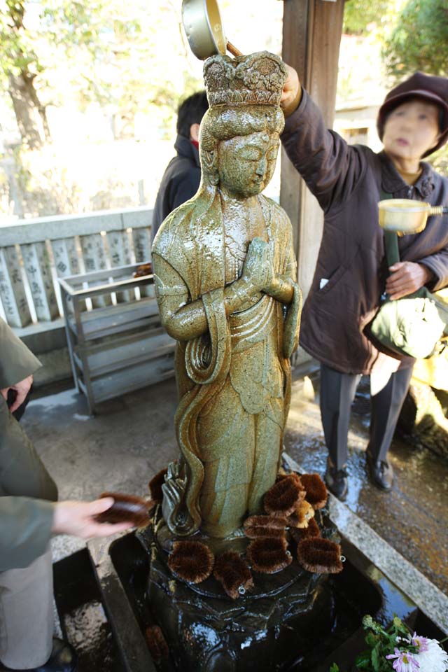 foto,tela,gratis,paisaje,fotografa,idea,Soy el Kannon para la Shibamata Sakra Deranam Indra agua, Idea de Kannon, Fe, Templo, Buddhism