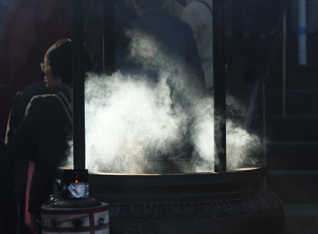 photo,material,free,landscape,picture,stock photo,Creative Commons,Shinobazunoike wife of chief zen-priest temple, Chaitya, Sarasvati, The Amagai bishop, Smoke