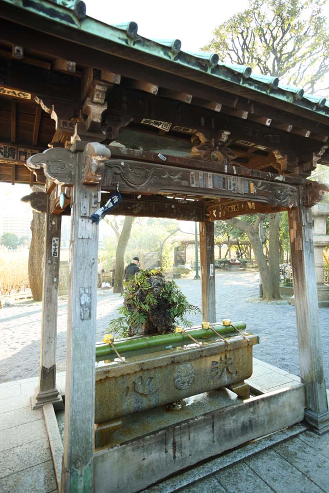 Foto, materieel, vrij, landschap, schilderstuk, bevoorraden foto,Shinobazunoike vrouw van de opperhoofd zen-preutsste tempel, Chaitya, Sarasvati, De Amagai bisschop, Klein paviljoen met water en soeplepels