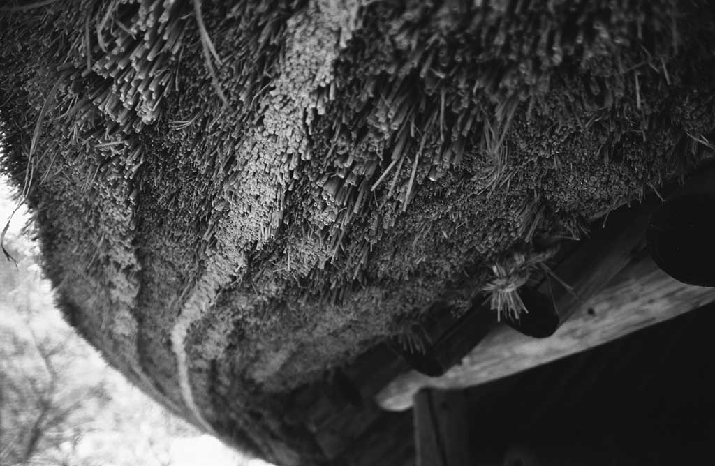 Foto, materieel, vrij, landschap, schilderstuk, bevoorraden foto,'Jaarlijkse beugel'en van thatched dak, Traditie, , , 