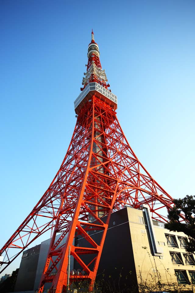 photo, la matire, libre, amnage, dcrivez, photo de la rserve,Tour de Tokyo, collection tour de la vague lectrique, Rouge et blanc, Une antenne, Un observatoire