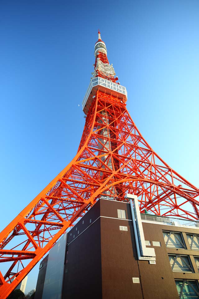 Foto, materiell, befreit, Landschaft, Bild, hat Foto auf Lager,Tokyo-Turm, Sammlung elektrischer Wellenturm, Rot und wei, Eine Antenne, Eine Sternwarte