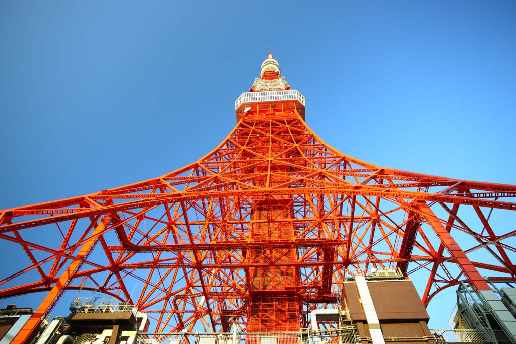 foto,tela,gratis,paisaje,fotografa,idea,Tokyo Tower, Coleccin torre de ola elctrica, Rojo y blanco, Una antena, Un observatorio