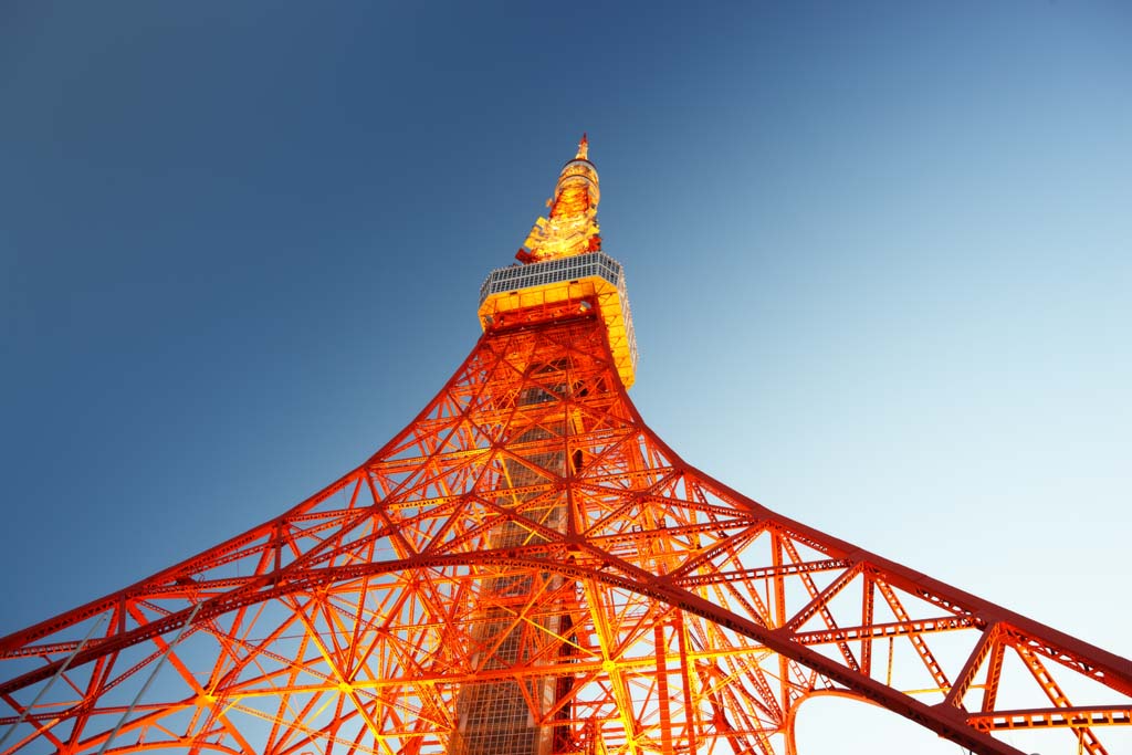 photo,material,free,landscape,picture,stock photo,Creative Commons,Tokyo Tower, collection electric wave tower, Red and white, An antenna, An observatory