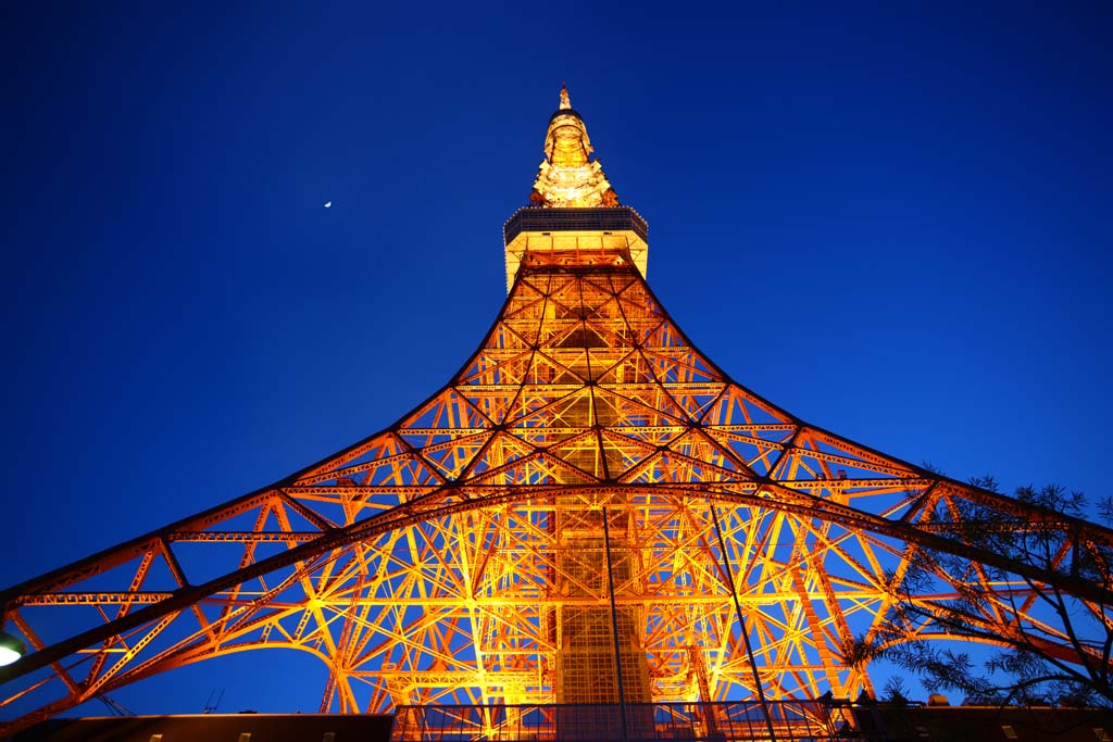 photo,material,free,landscape,picture,stock photo,Creative Commons,Tokyo Tower, collection electric wave tower, I light it up, An antenna, An observatory