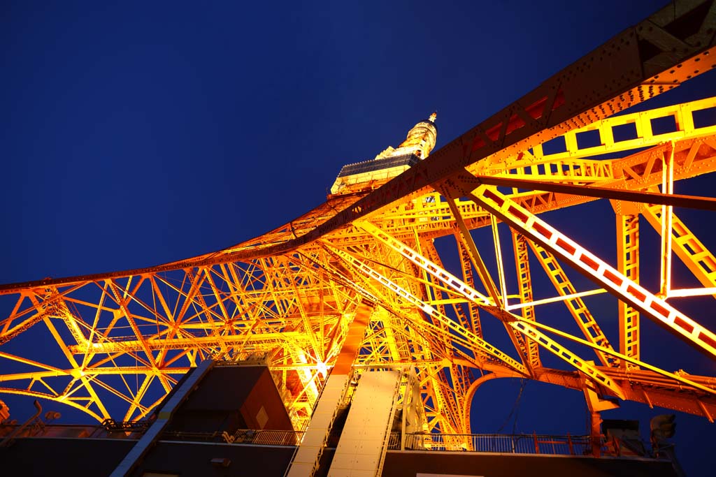 foto,tela,gratis,paisaje,fotografa,idea,Tokyo Tower, Coleccin torre de ola elctrica, Lo enciendo, Una antena, Un observatorio