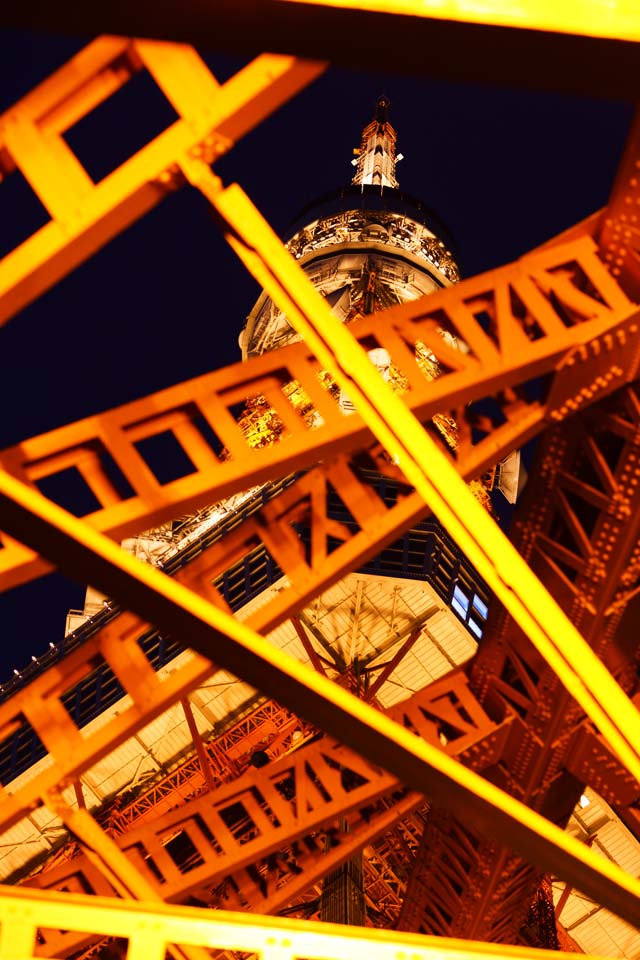 photo,material,free,landscape,picture,stock photo,Creative Commons,Tokyo Tower, collection electric wave tower, I light it up, An antenna, An observatory