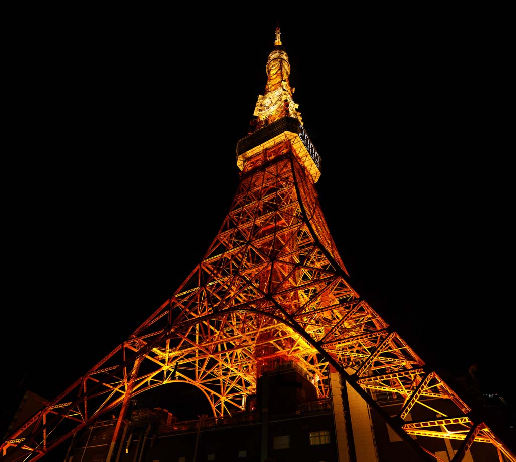foto,tela,gratis,paisaje,fotografa,idea,Tokyo Tower, Coleccin torre de ola elctrica, Lo enciendo, Una antena, Un observatorio