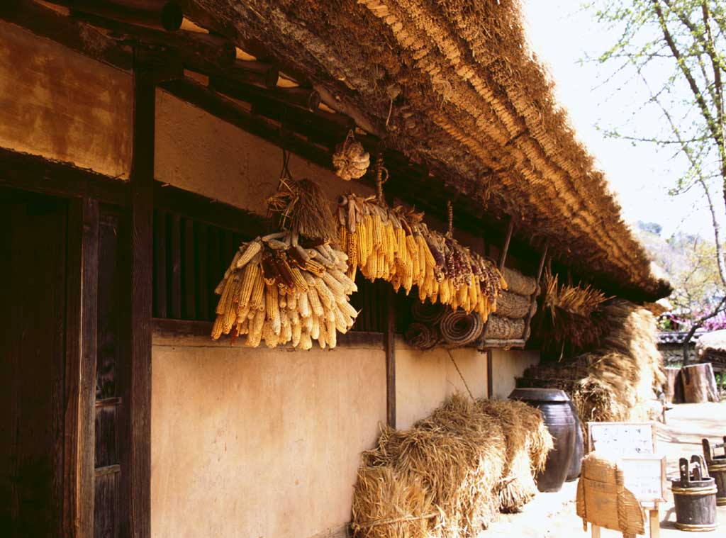 Foto, materiell, befreit, Landschaft, Bild, hat Foto auf Lager,Hhneraugen hingen unter den Dachberhngen, Tradition, , , 