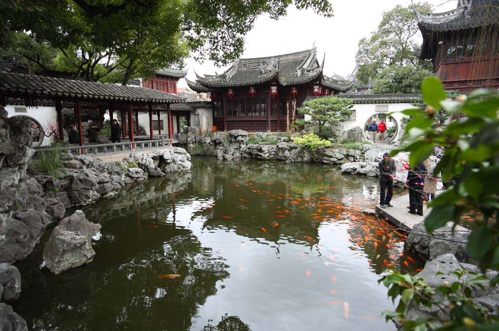 Foto, materiell, befreit, Landschaft, Bild, hat Foto auf Lager,Yuyuan-Garten, Joss Hausgarten, , Chinesischer Essensstil, Teich