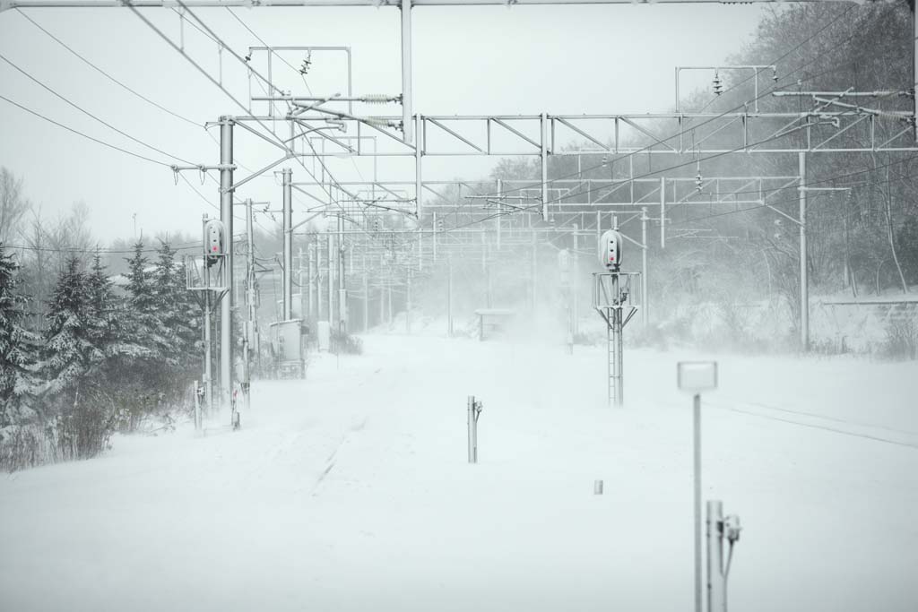 photo,material,free,landscape,picture,stock photo,Creative Commons,The menace of the snowstorm, It is cold, I am cold, snowstorm, Heavy snowfall