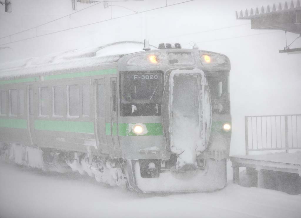 photo, la matire, libre, amnage, dcrivez, photo de la rserve,La menace de la tempte de neige, C'est froid, J'ai froid, tempte de neige, Chute de neige lourde