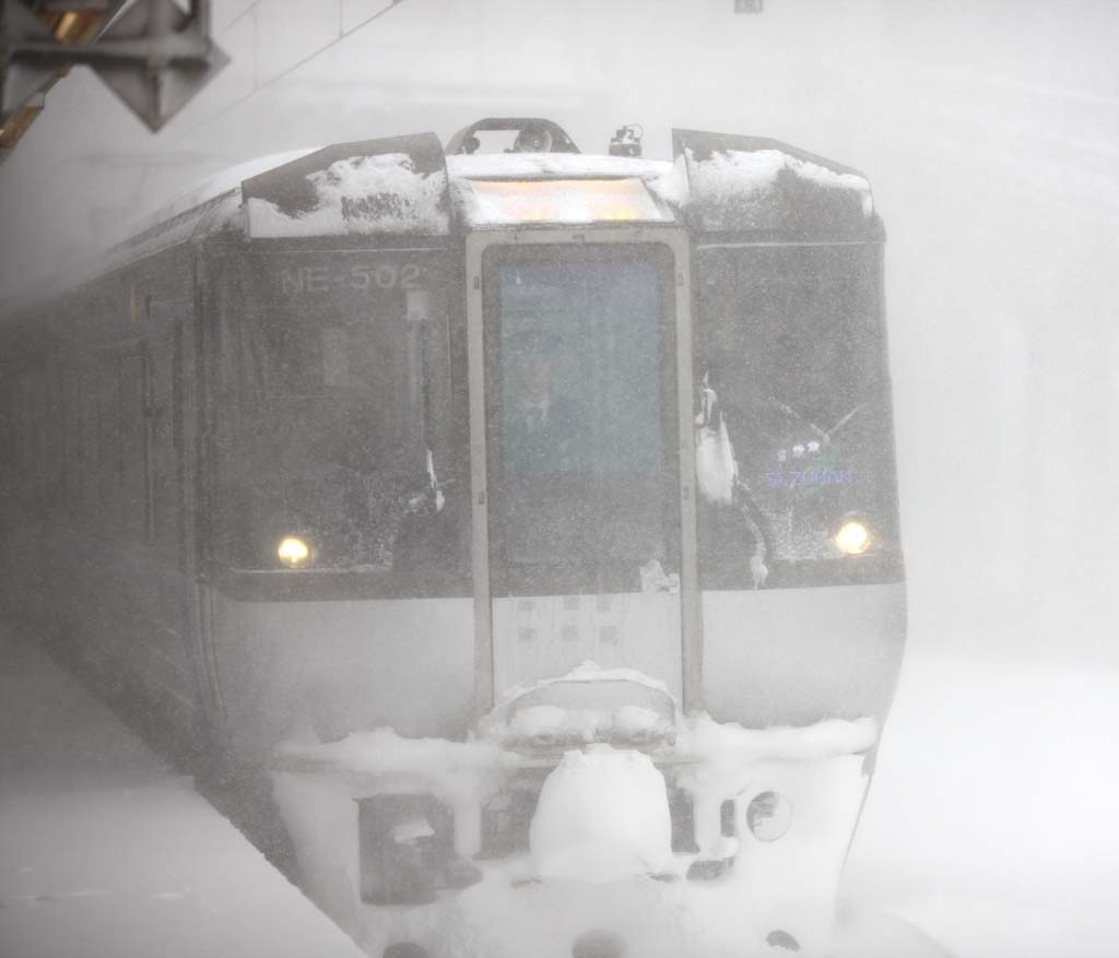 Foto, materieel, vrij, landschap, schilderstuk, bevoorraden foto,Ht dreigemen van de sneeuwstorm, Het is koud, Ik ben koud, Sneeuwstorm, Zwaar snowfall