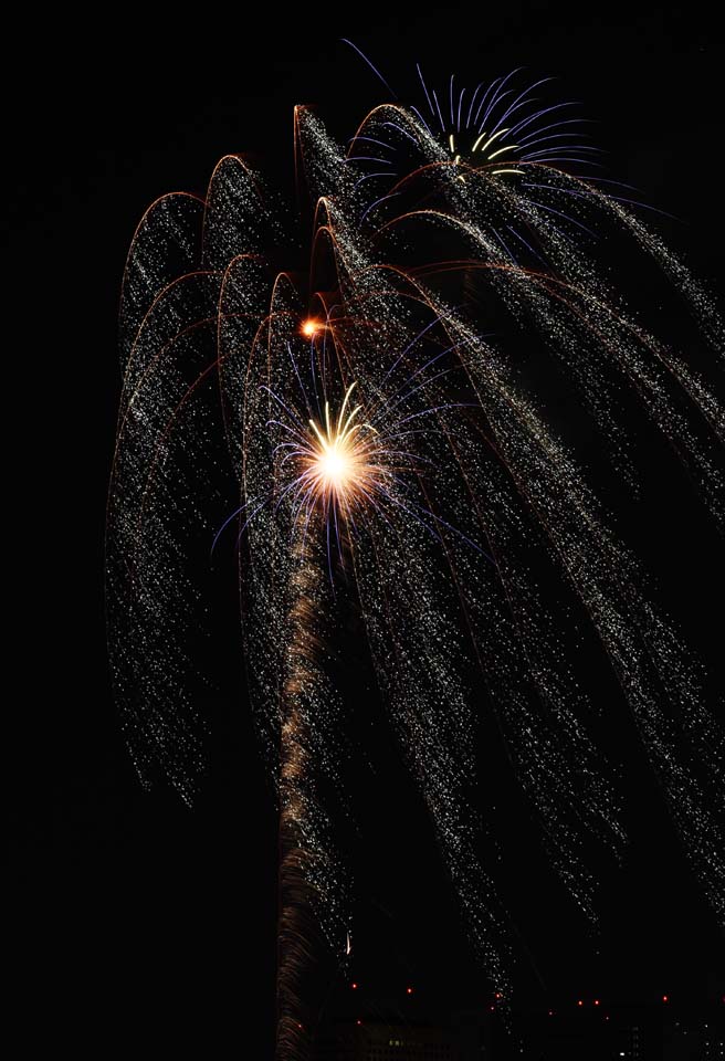 fotografia, material, livra, ajardine, imagine, proveja fotografia,Um foguete, Plvora, mina de estrela, Lanando, cena natural ou objeto que acrescentam charme potico  estao do vero