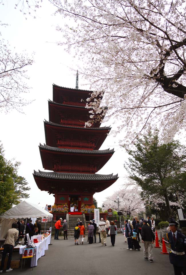 fotografia, material, livra, ajardine, imagine, proveja fotografia,Ikegami defrontam templo de porto Cinco Pagode de Storeyed, Takashi Nichiren, Chaitya, Cinco pagode de Storeyed, Hidetada pblico