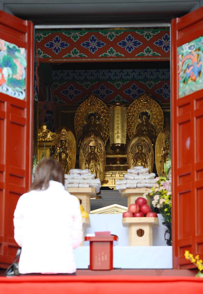 Foto, materiell, befreit, Landschaft, Bild, hat Foto auf Lager,Ikegami-Front Tortempel fnf Storeyed-Pagode, Buddhistisches Bild, Chaitya, Ruhm zum Sutra des Lotus des hchsten Gesetzes, Faith