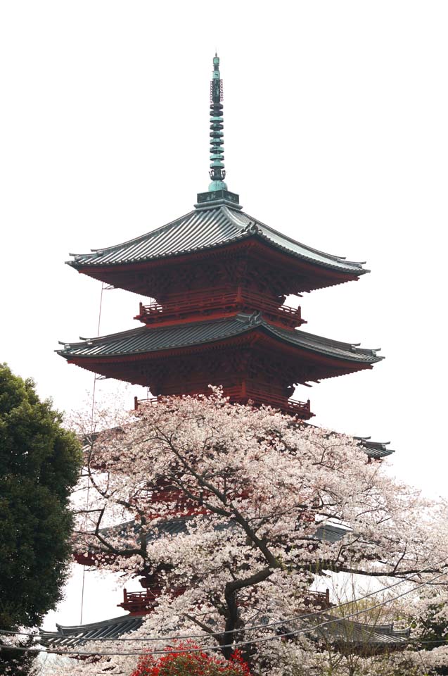 photo,material,free,landscape,picture,stock photo,Creative Commons,Ikegami front gate temple Five Storeyed Pagoda, Takashi Nichiren, Chaitya, Five Storeyed Pagoda, Public Hidetada