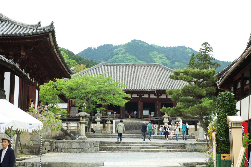 fotografia, materiale, libero il panorama, dipinga, fotografia di scorta,Il tempio di Taima sala principale di un tempio buddista, Chaitya, tempio di mandala, Tenente di principessa leggenda generale, Il paradiso di Buddnists Dell'ovest