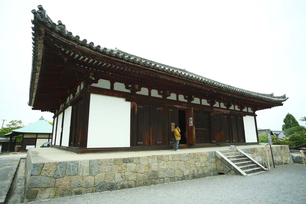 fotografia, materiale, libero il panorama, dipinga, fotografia di scorta,Sala di conferenza di tempio di Taima, Chaitya, idolo principale Amitabha immagine sedentaria, Tenente di principessa leggenda generale, Il paradiso di Buddnists Dell'ovest