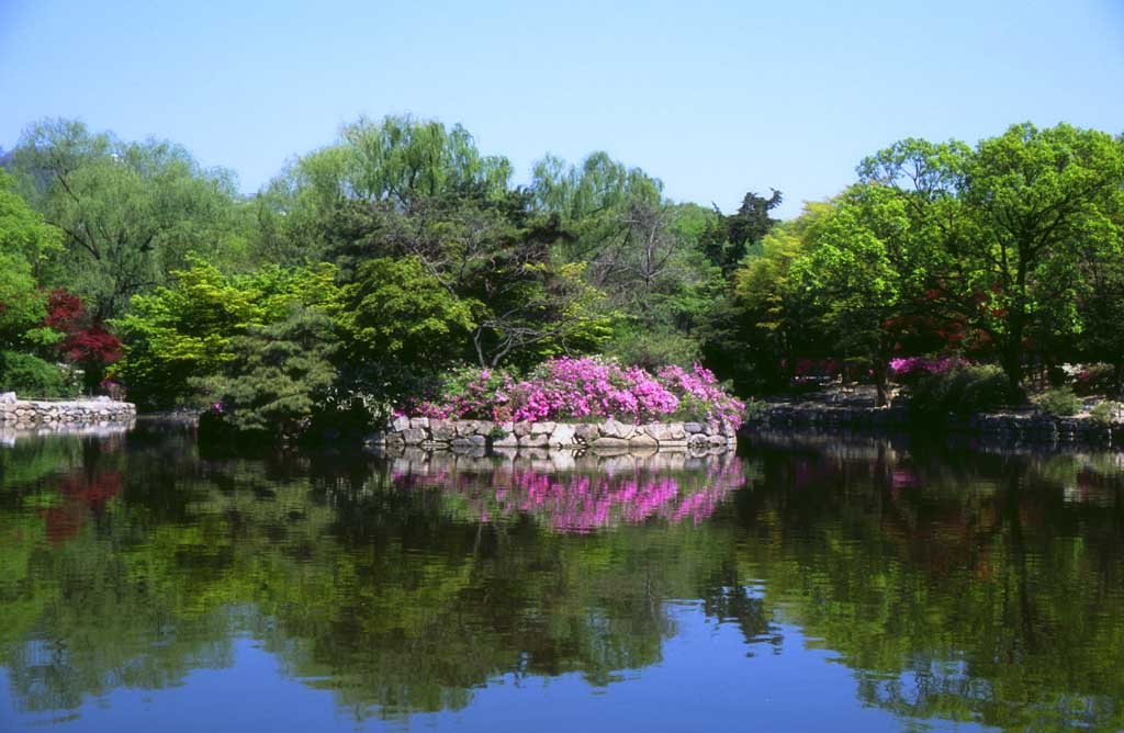 photo,material,free,landscape,picture,stock photo,Creative Commons,Cyundangchi, palace, pond, blue sky, 