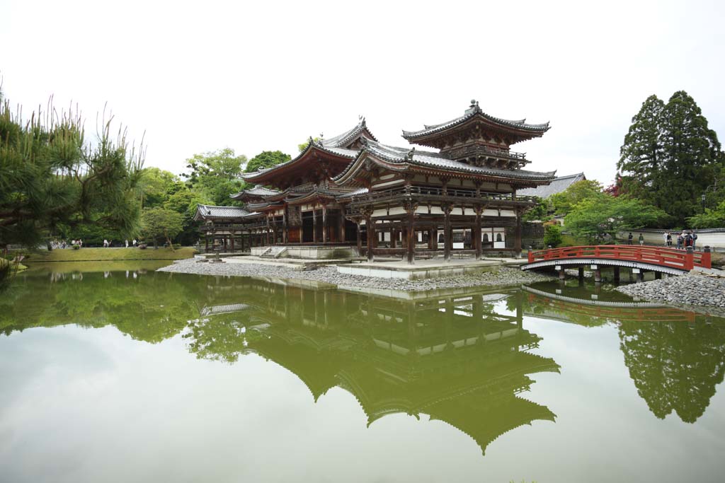 foto,tela,gratis,paisaje,fotografa,idea,Ave fnix templo de chino de Temple de Byodo-in, Herencia de mundo, Fe de Jodo, Pesimismo atribuible a la creencia en el tercero y ltimo escenario de Buddhism, Una Amitabha inactivo imagen