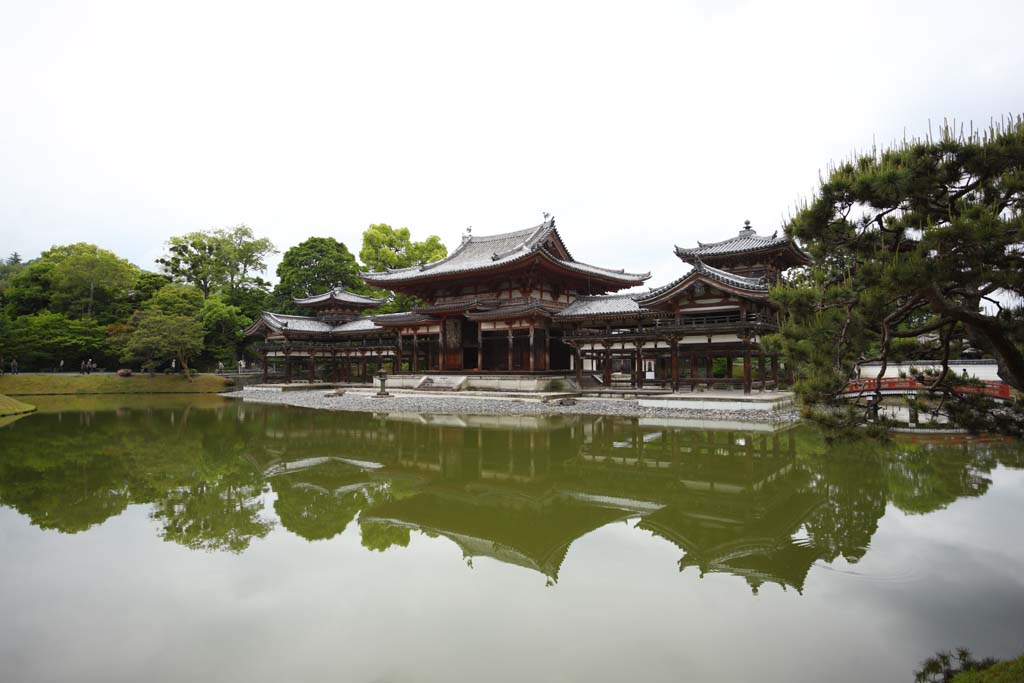 Foto, materieel, vrij, landschap, schilderstuk, bevoorraden foto,Byodo-in Temple Chinese feniks tempel, Wereld heritage, Jodo trouw, Zwartgalligheid wegens de overtuiging in het derde en laatste etappe van Het boeddhisme, Een Amitabha zittende afbeelding