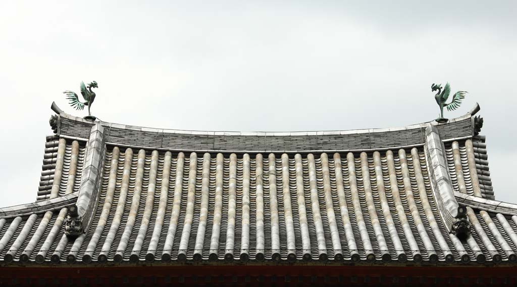 Foto, materieel, vrij, landschap, schilderstuk, bevoorraden foto,Byodo-in Temple Chinese feniks tempel, Wereld heritage, Jodo trouw, Zwartgalligheid wegens de overtuiging in het derde en laatste etappe van Het boeddhisme, Chinees feniks