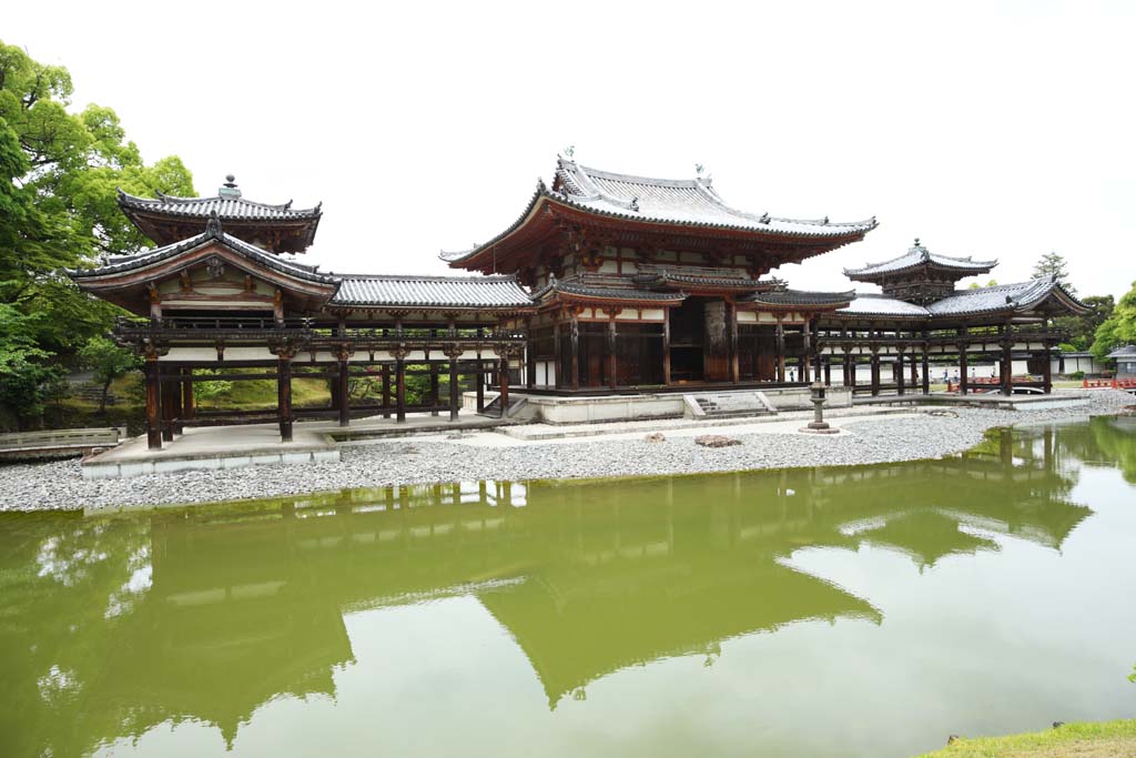 foto,tela,gratis,paisaje,fotografa,idea,Ave fnix templo de chino de Temple de Byodo-in, Herencia de mundo, Fe de Jodo, Pesimismo atribuible a la creencia en el tercero y ltimo escenario de Buddhism, Una Amitabha inactivo imagen