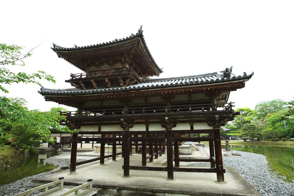 foto,tela,gratis,paisaje,fotografa,idea,Ave fnix templo de chino de Temple de Byodo-in, Herencia de mundo, Fe de Jodo, Pesimismo atribuible a la creencia en el tercero y ltimo escenario de Buddhism, Una Amitabha inactivo imagen