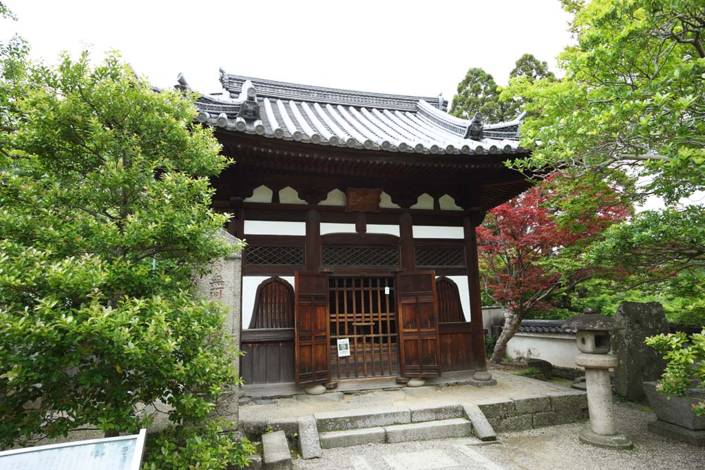 foto,tela,gratis,paisaje,fotografa,idea,Temple Rakan templo de Byodo-in, Herencia de mundo, Fe de Jodo, Pesimismo atribuible a la creencia en el tercero y ltimo escenario de Buddhism, Dragn