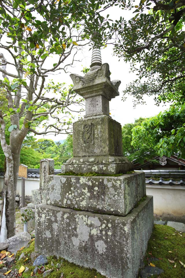 fotografia, material, livra, ajardine, imagine, proveja fotografia,Um cemitrio de Byodo-em Templo Yorimasa, sepultura, Genji, Heike, Carter Snscritos