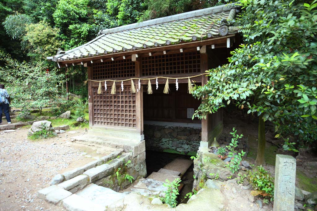 foto,tela,gratis,paisaje,fotografa,idea,Es el agua de Kirihara del santuario sintosta en Uji, Agua clara famosa, Terreno de cajn de agua, Guirnalda de paja sintosta, Shinto