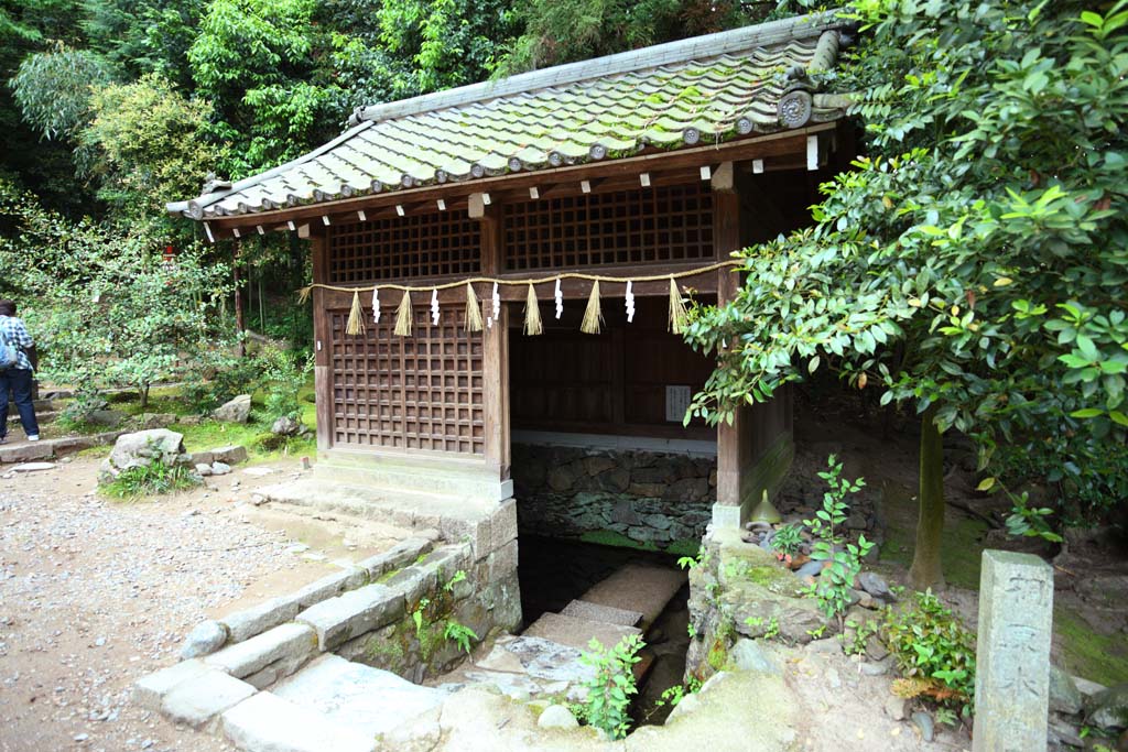 photo,material,free,landscape,picture,stock photo,Creative Commons,It is Shinto shrine Kirihara water in Uji, Famous clear water, Water drawer ground, Shinto straw festoon, Shinto