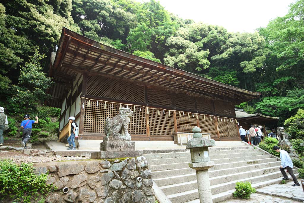 foto,tela,gratis,paisaje,fotografa,idea,Es un santuario santuario principal sintosta en Uji, Japn es ms viejo, El Emperor Ojin, , Cetro