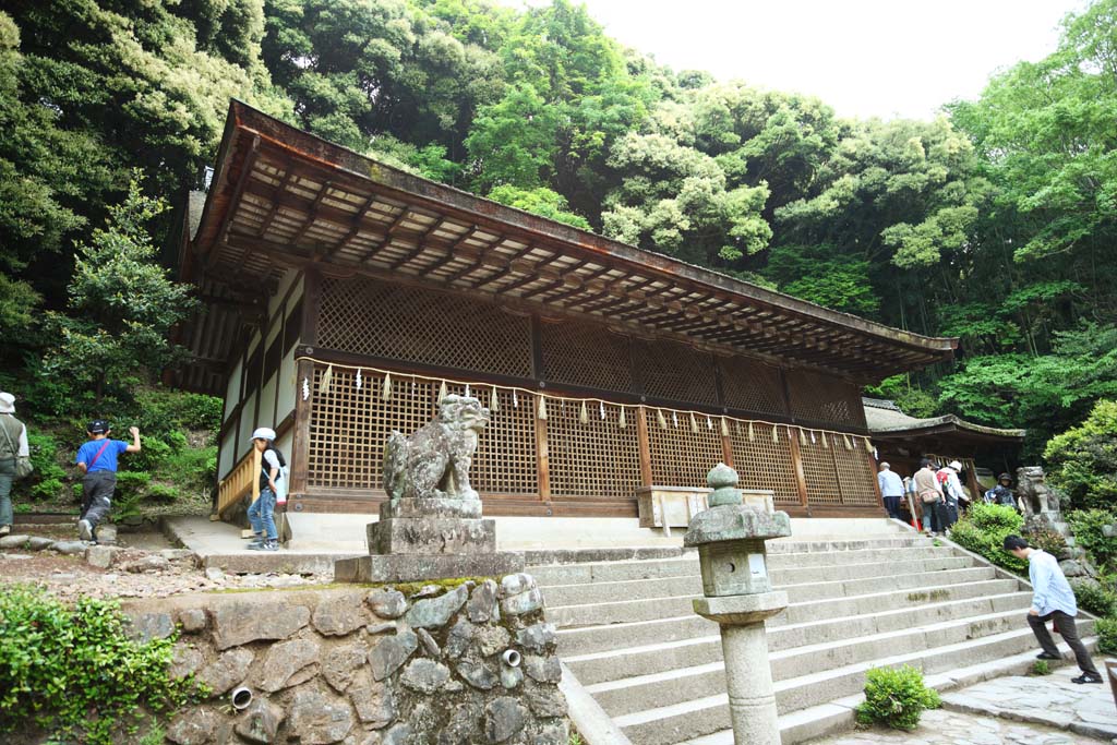 Foto, materiell, befreit, Landschaft, Bild, hat Foto auf Lager,Es ist ein schintoistischer Schrein Hauptschrein in Uji, Japan ist am ltesten, Der Kaiser Ojin, , Szepter