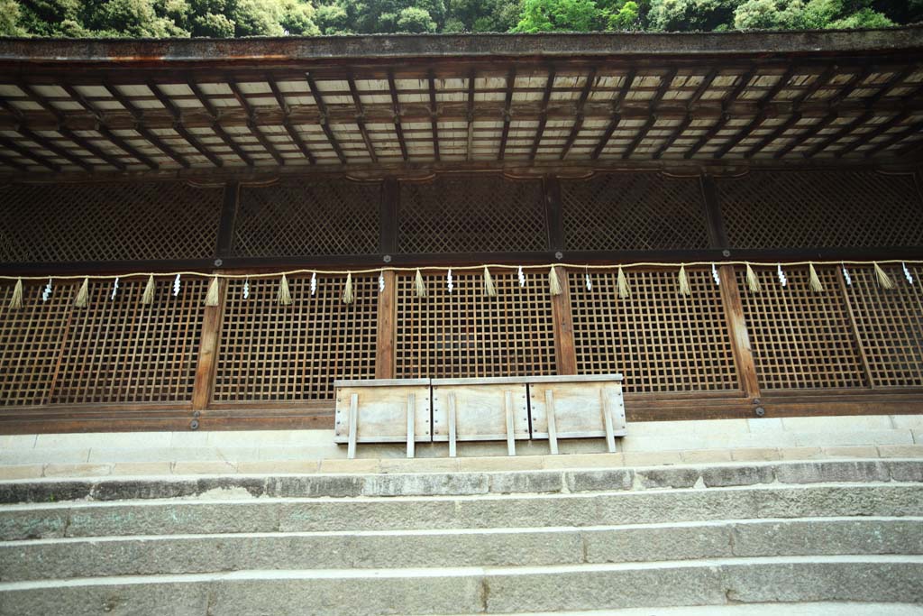 foto,tela,gratis,paisaje,fotografa,idea,Es un santuario santuario principal sintosta en Uji, Japn es ms viejo, El Emperor Ojin, , Cetro