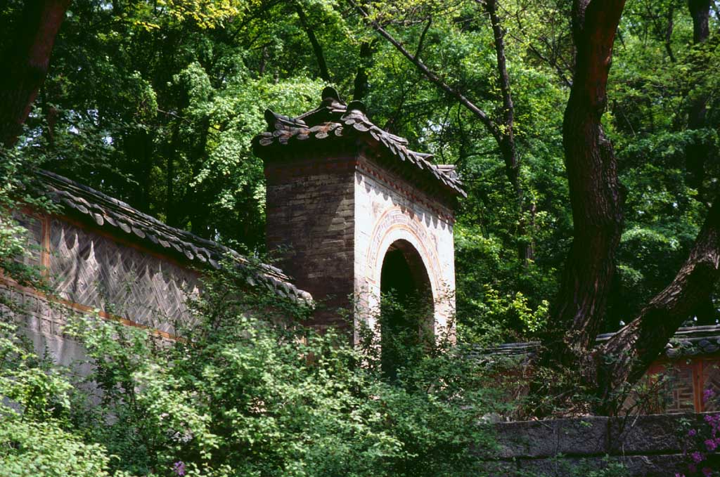 photo,material,free,landscape,picture,stock photo,Creative Commons,Gate buried in the greenery, palace, gate, , 