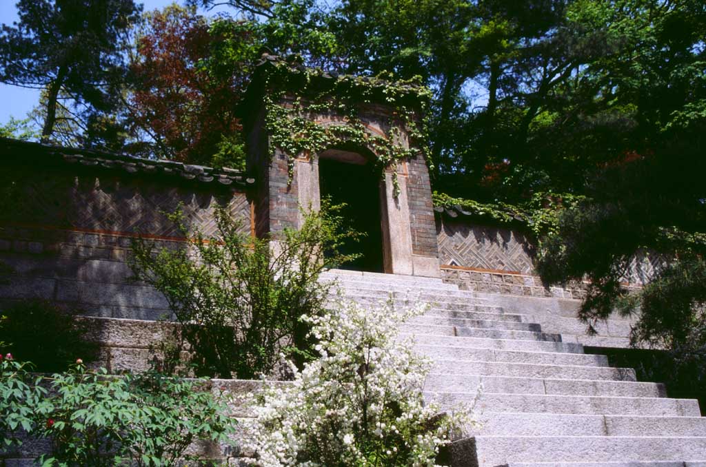 fotografia, materiale, libero il panorama, dipinga, fotografia di scorta,Cancello che connette ad un'et diversa, palazzo, cancello, passi di pietra, 