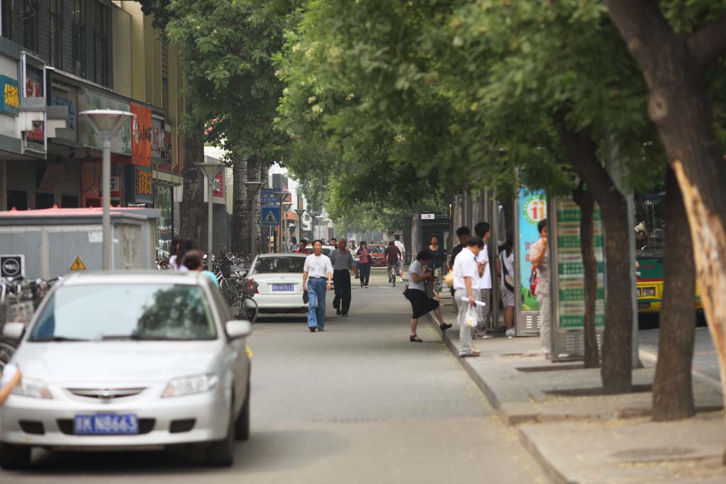 photo,material,free,landscape,picture,stock photo,Creative Commons,According to Beijing, bus stop, car, An electric wire, roadside tree