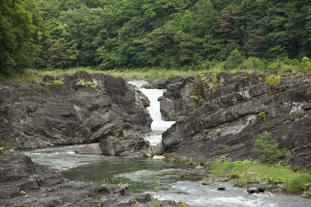 fotografia, materiale, libero il panorama, dipinga, fotografia di scorta,Fiume di Sorachi, pietra, foresta vergine, Falda, flusso