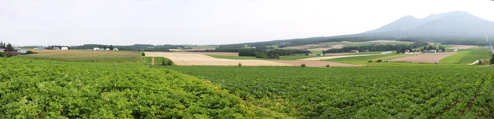 photo, la matire, libre, amnage, dcrivez, photo de la rserve,Un dcor rural de Furano, champ, Mt. Tokachi-dake, Le pays, dcor rural