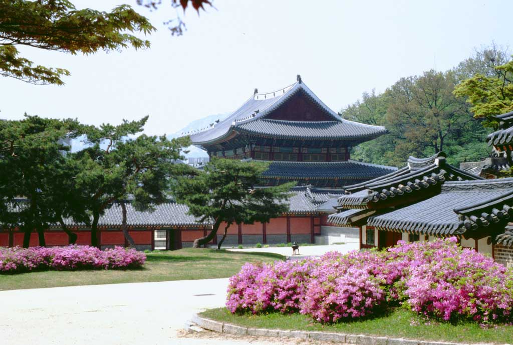 photo,material,free,landscape,picture,stock photo,Creative Commons,Injeongjeon, palace, azalea, , 