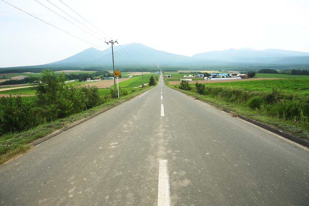 fotografia, material, livra, ajardine, imagine, proveja fotografia,Uma estrada de linha direta de Furano, campo, Mt. Tokachi-dake, O pas, paisagem rural
