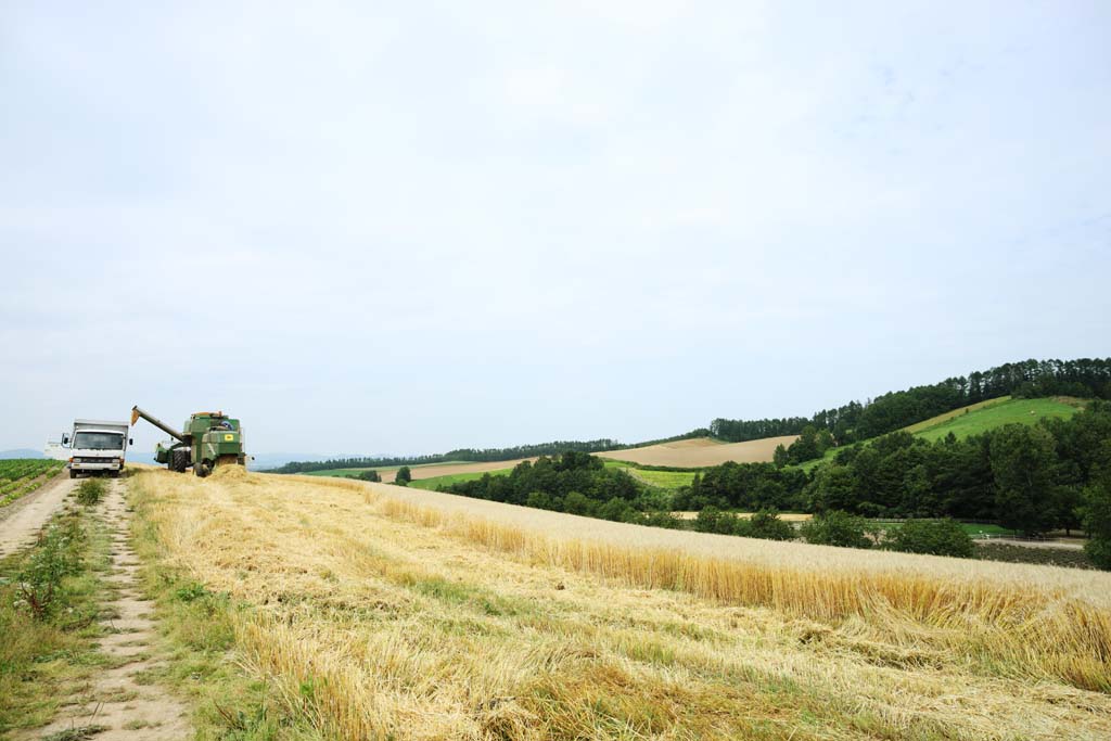 photo, la matire, libre, amnage, dcrivez, photo de la rserve,Un dcor rural de Biei, champ, Une machine agricole, Le pays, dcor rural